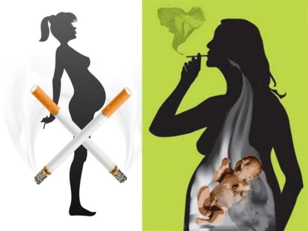 Паяткао вреде алкоголя