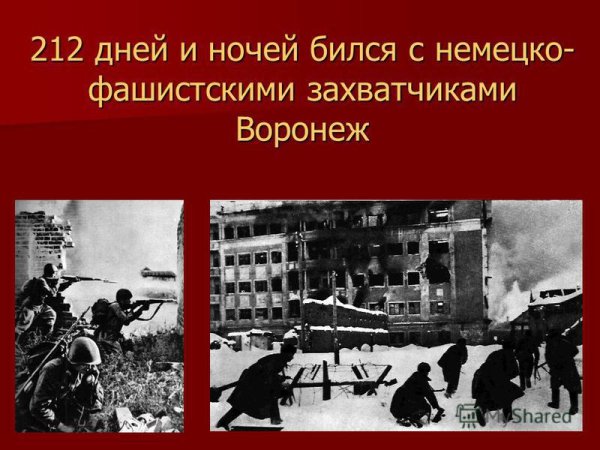 Плакат ко Дню освобождения Воронежа