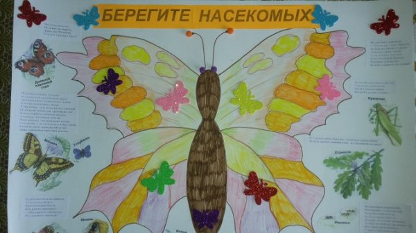 Проект для детского сада насекомые