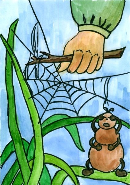 Берегите насекомых