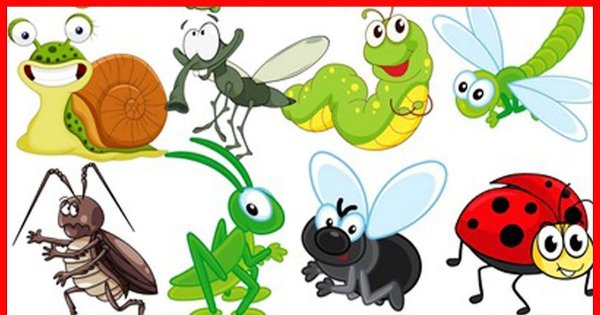 Насекомые для детей