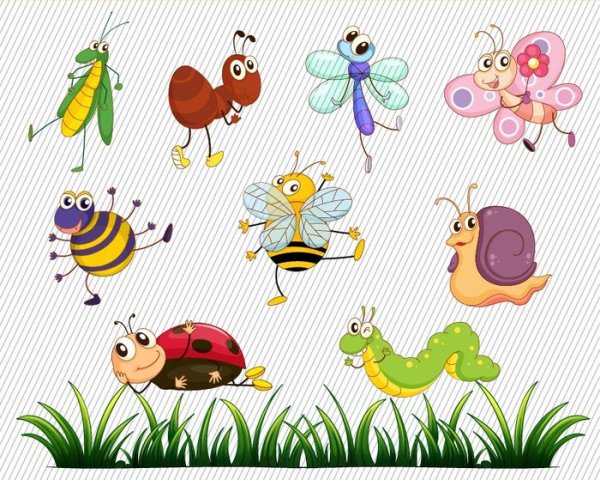 Отрисовка насекомые для детей