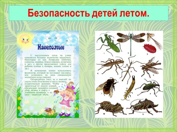 Безопасность летом