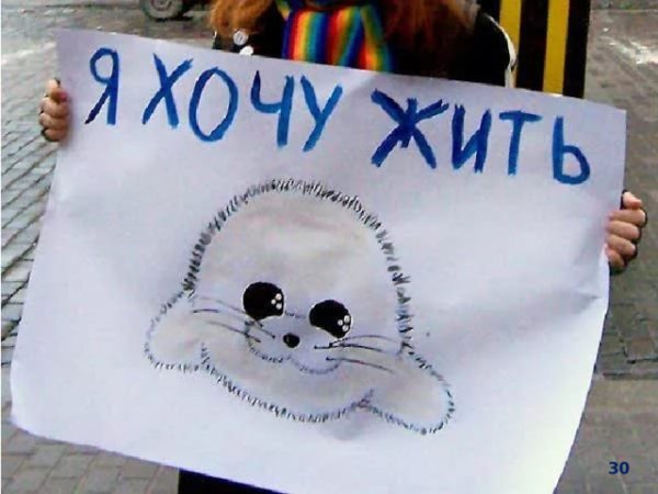 Нарисовать плакат ко Дню защиты животных