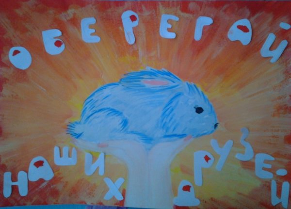 Лозунги в защиту животных