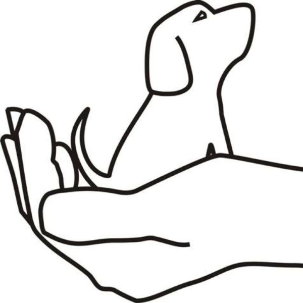 День защиты животных