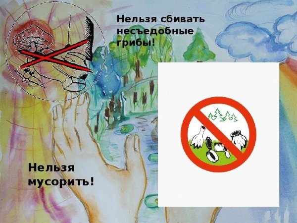 Плакаты против мусора