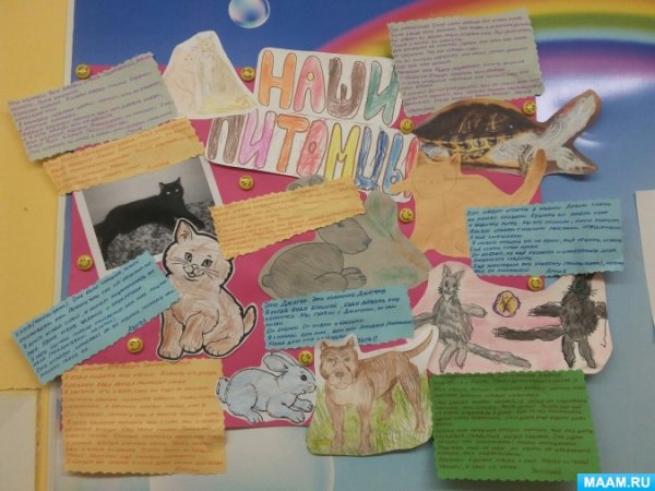 Рисунок на тему защита животных