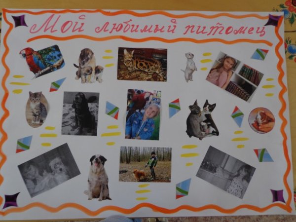 Плакат на тему животные