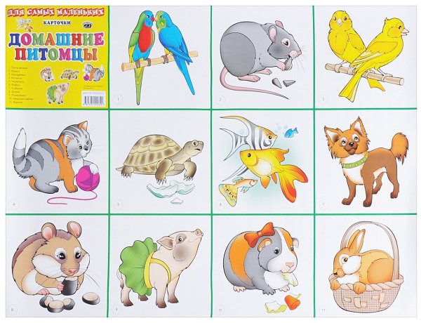 Рисунок ко Дню защиты животных