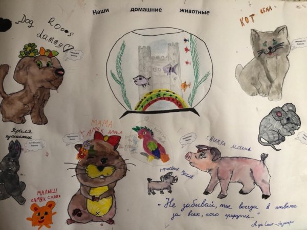 Коллаж Мои любимые домашние питомцы