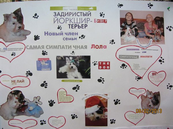 Фотовыставка Мои домашние питомцы