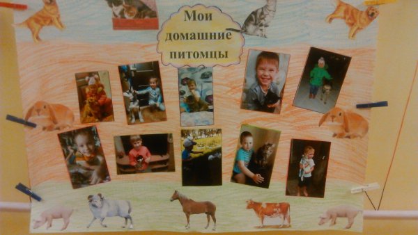 Проект Мои домашние питомцы