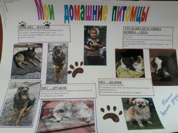 Создание стенгазеты