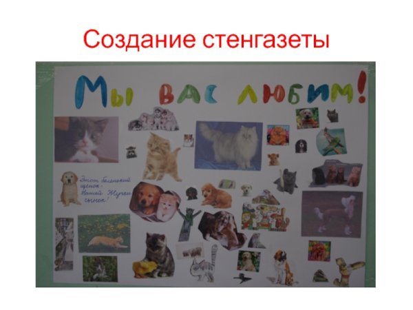 Мой любимый питомец рисунок на конкурс