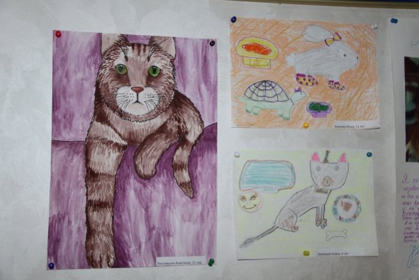 Коллаж мой любимый детский сад