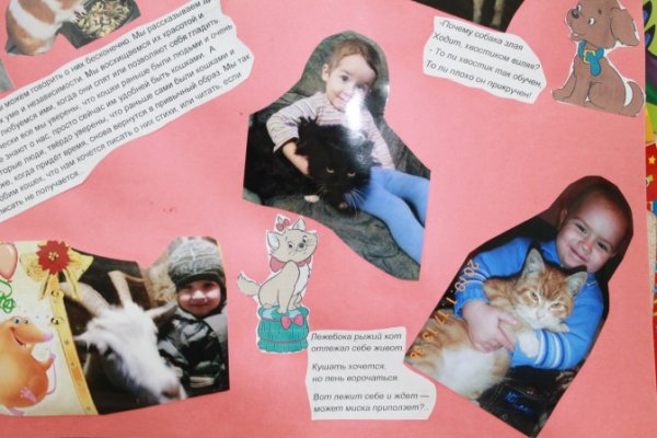 Плакат с фотографиями домашних животных