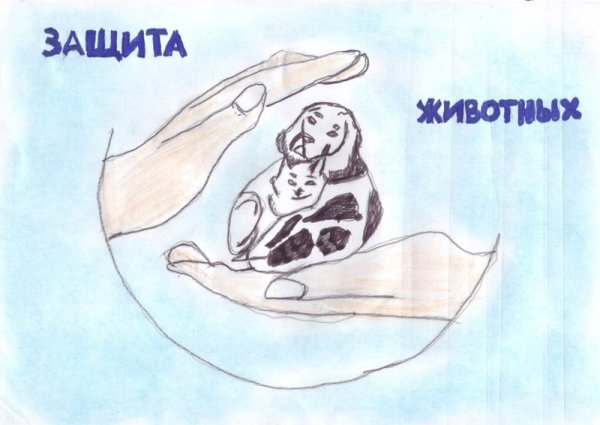 Плакат береги животных