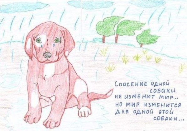 Плакат на тему птицы