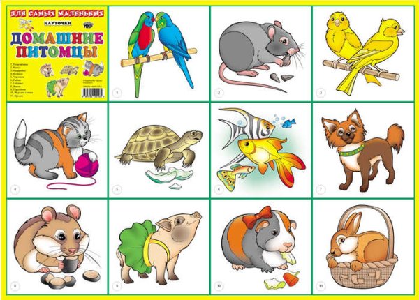 Рисунок на тему защита бездомных животных