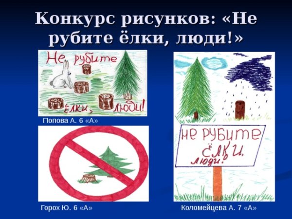 Не рубите ели плакат