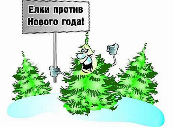 Листовка в защиту хвойных деревьев