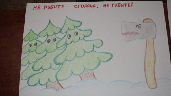 Листовки в защиту елок