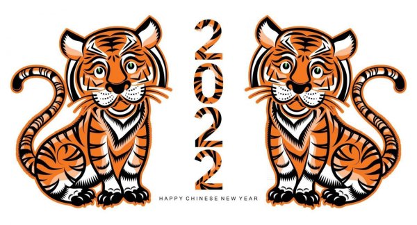 Год тигра 2022