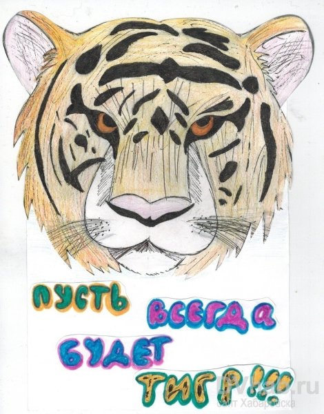 Плакат берегите амурских тигров