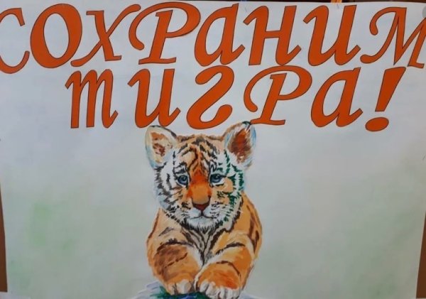Плакат в защиту Амурского тигра