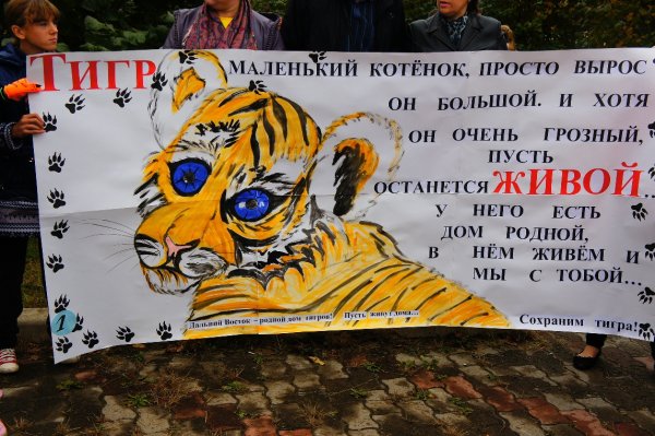 Грамоты с тигром для детей