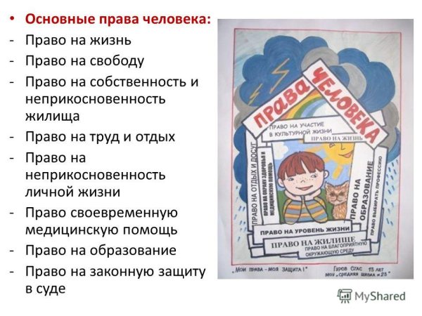 Права и обязонасти человек