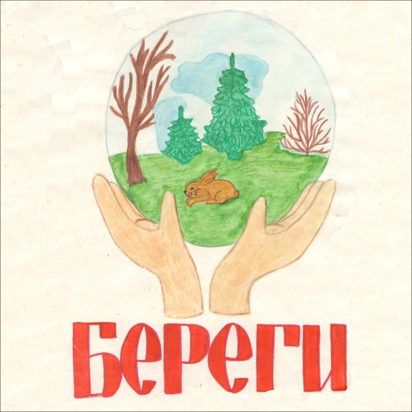 Плакаты о защите природы и животных