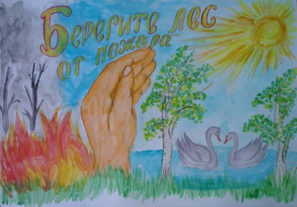 Плакат защита природы