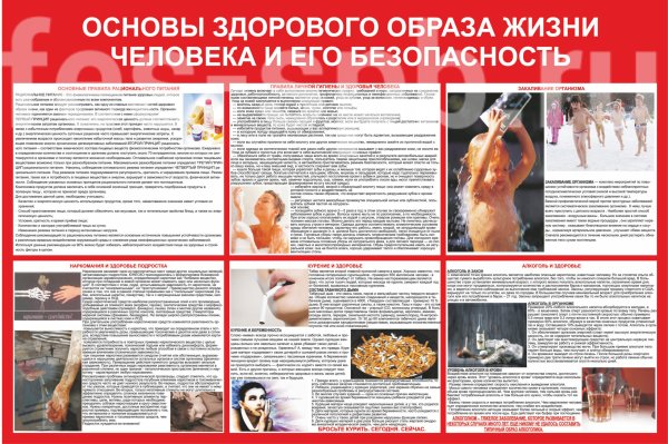 Основы здорового образа жизни
