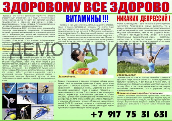 Бюллетень здоровый образ жизни