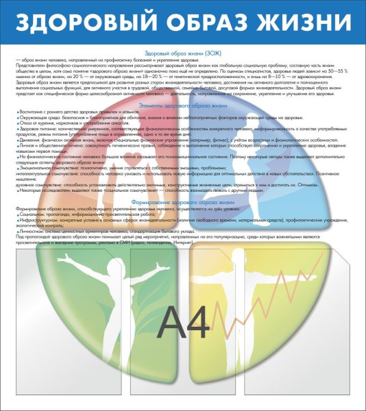 Санбюллетень ЗОЖ