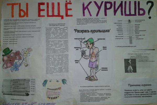 Бюллетень здоровый образ жизни