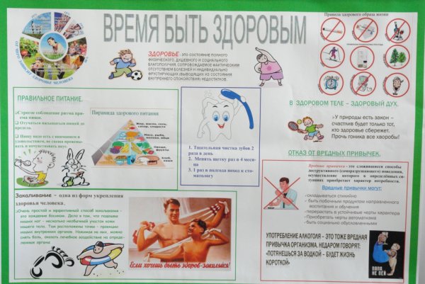 Профилактика ССЗ