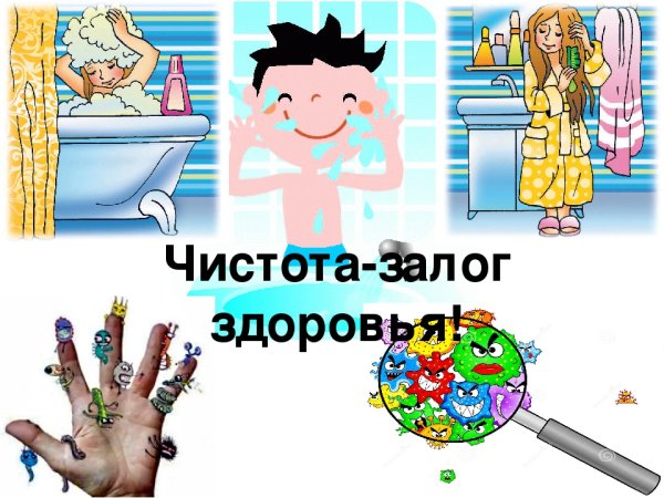 Чистота – зоолог здоровья»