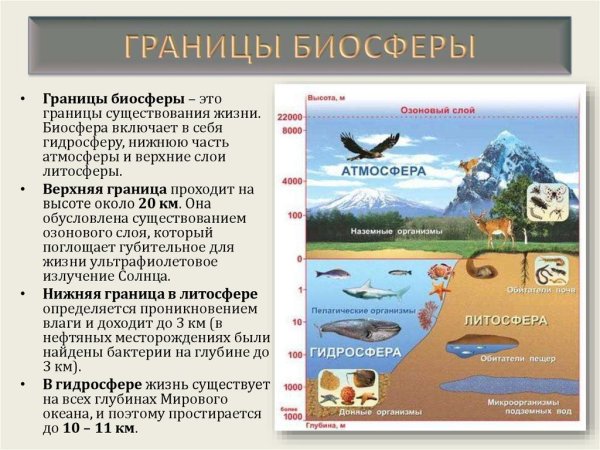 Оболочки земли литосфера гидросфера атмосфера Биосфера