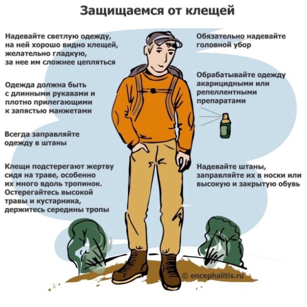 Осторожно клещи