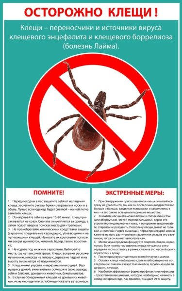 Осторожно клещи памятка для детей