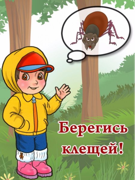 Памятка клещи Роспотребнадзор