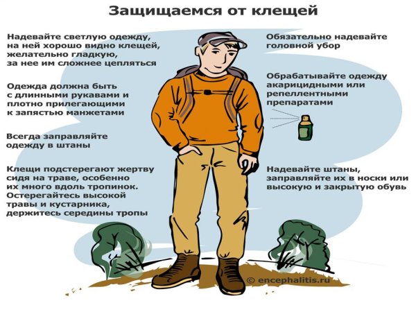 Осторожно клещи памятка для детей
