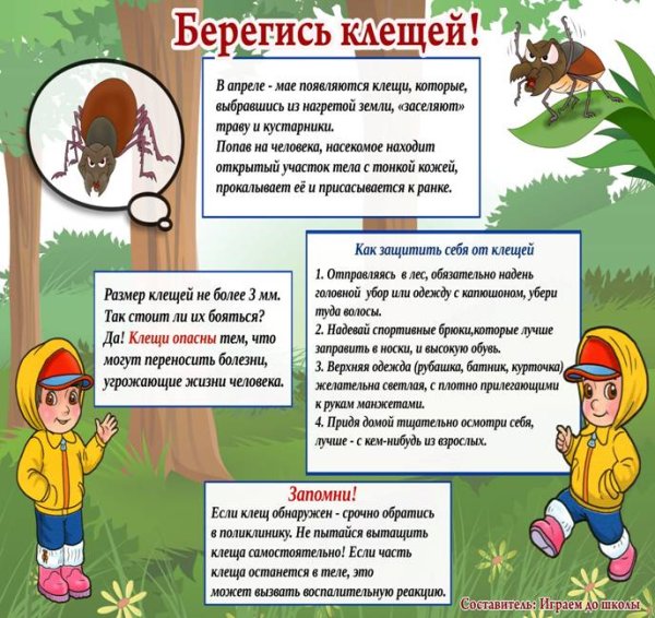 Информация о клещах