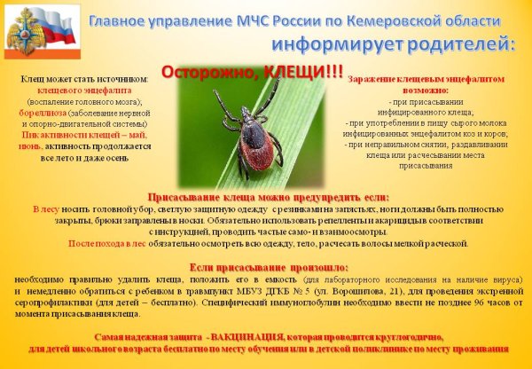 Профилактика клещей