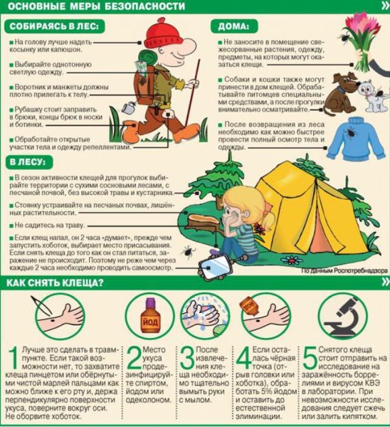 Клещевой энцефалит вакцинация памятка