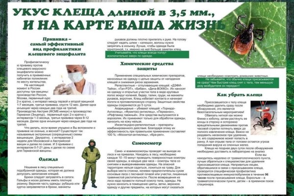 Профилактика клещевого энцефалита памятка