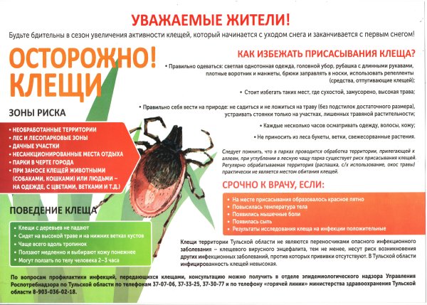 Как защититься от клещей памятка